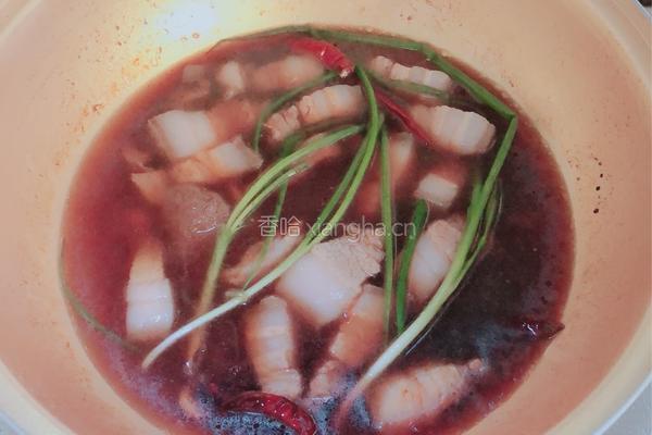 胡萝卜炖肉的做法图解3