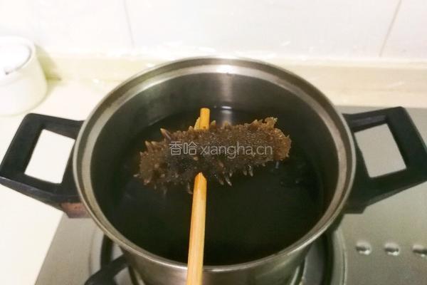热水瓶水发海参的做法图解4