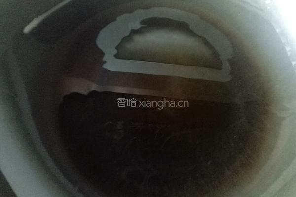 麻辣孜然干豆腐的做法图解10