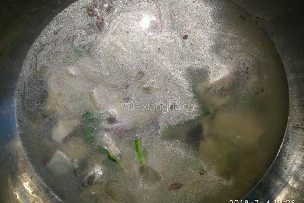 鲶鱼茄子汤的做法图解6