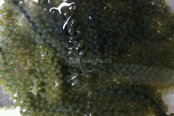 奶油海葡萄的做法图解2