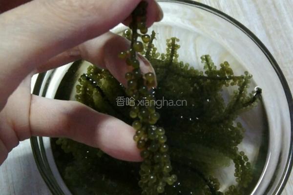 奶油海葡萄的做法图解3