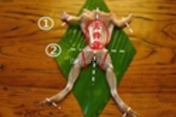 黑松露野生牛肝菌烧牛蛙的做法图解1