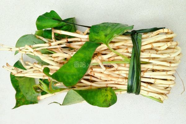 凉拌鱼腥草的做法图解1