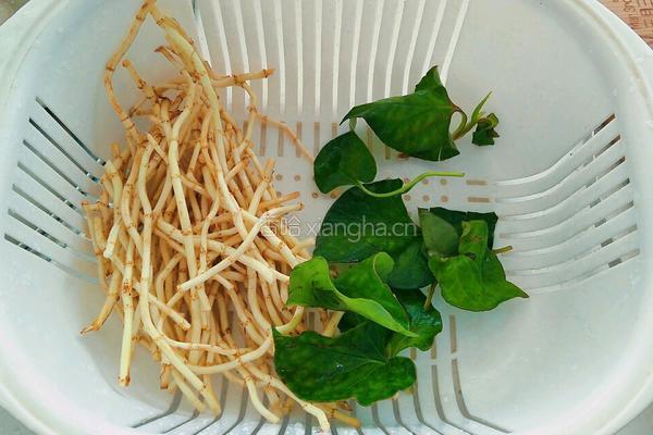 凉拌鱼腥草的做法图解2