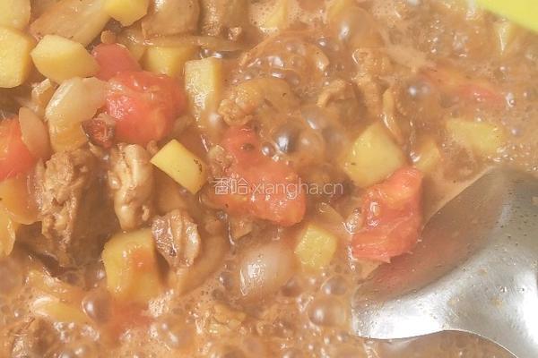 土豆炒鸡肉的做法图解15