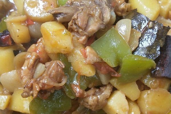 土豆炒鸡肉的做法图解17