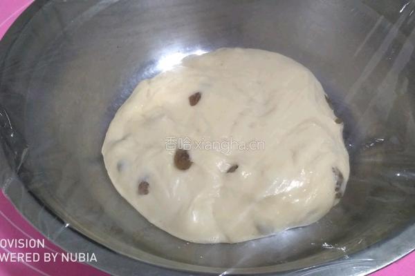 奶油提子土司的做法图解5