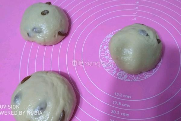 奶油提子土司的做法图解6
