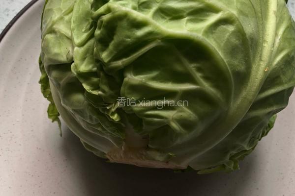 炝炒牛心菜的做法图解2