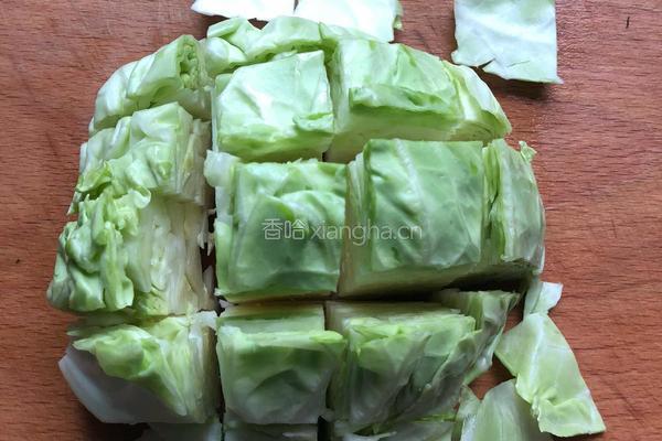 炝炒牛心菜的做法图解4