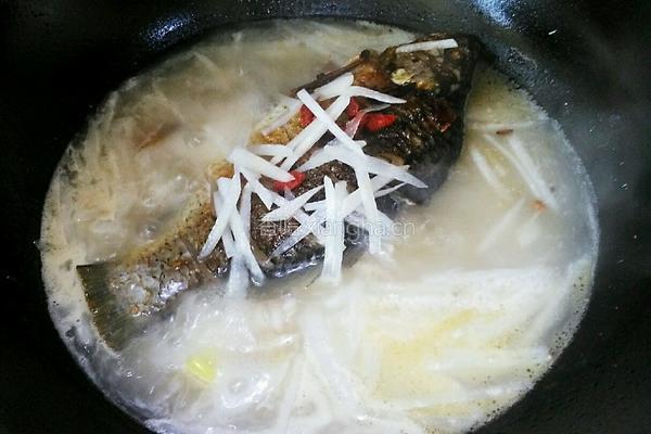 萝卜丝鲫鱼汤的做法图解4