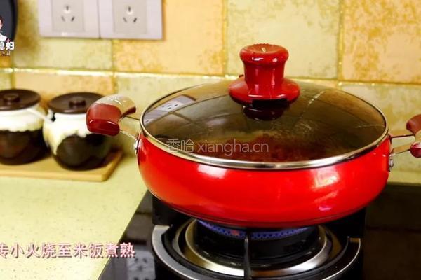芝士飘香的辣白菜炒五花肉豆芽饭，还要再来一碗！的做法图解11