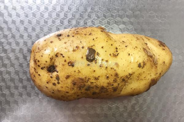 番茄土豆的做法图解1