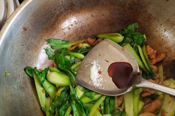 醋溜蒜蓉小油菜的做法图解3