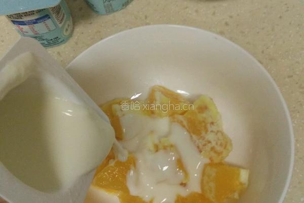 水果酸奶3加1的做法图解5