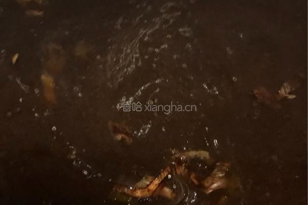 海鲜肉沫冻豆腐的做法图解13