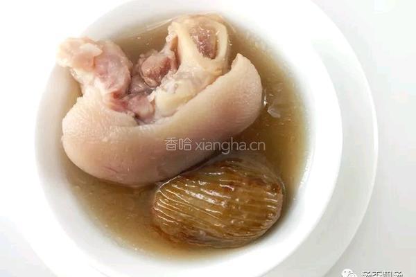 怀孕汤谱 麦芽蜜枣猪蹄汤 香甜又消食