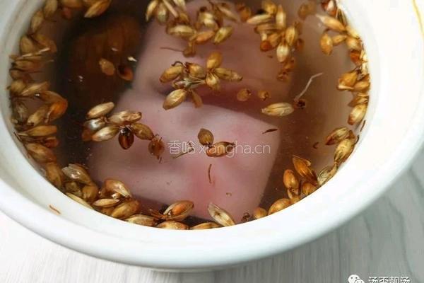 怀孕汤谱 麦芽蜜枣猪蹄汤 香甜又消食的做法图解5