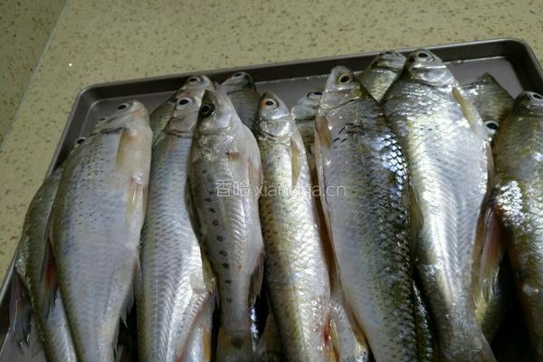 豆鼓河鱼的做法图解1