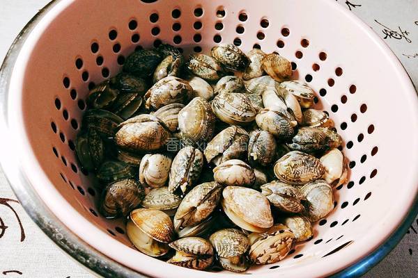 家常香炒蛤蜊的做法图解4