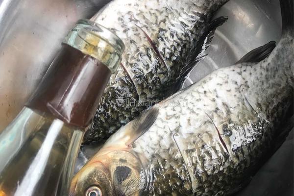 鲫鱼豆腐汤的做法图解2
