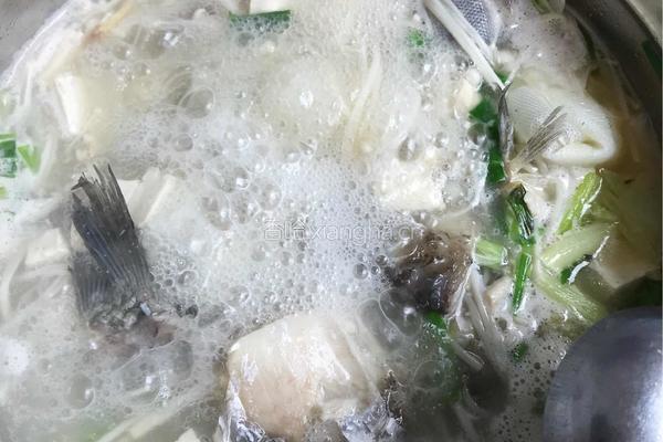 鲫鱼豆腐汤的做法图解8