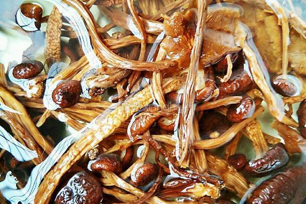 茶树菇山药龙骨汤的做法图解1
