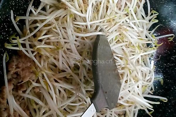 豆芽炒肉末的做法图解8