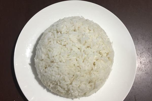 子鸡浓汁盖浇饭的做法图解11