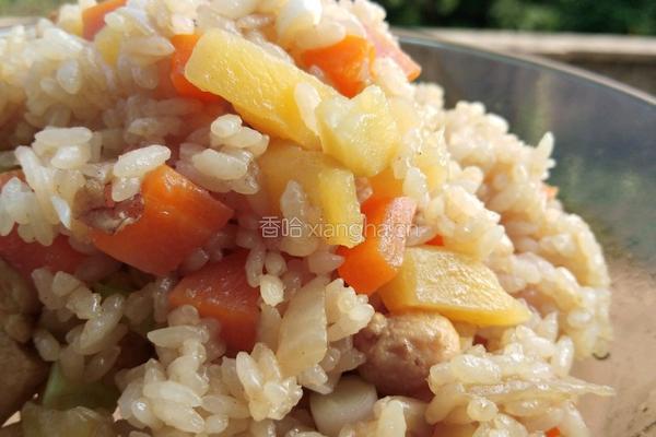 鸡肉土豆闷饭的做法图解7