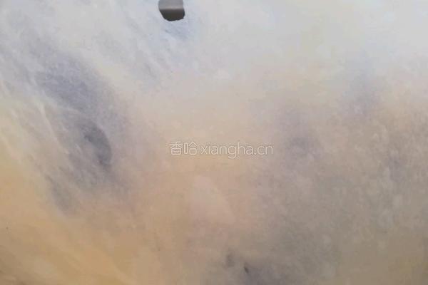 蜂蜜脆底小面包的做法图解3