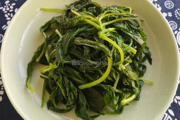 苋菜拌粉条的做法图解4