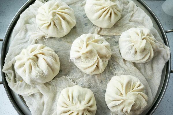 山东肉块大包子 的做法图解23