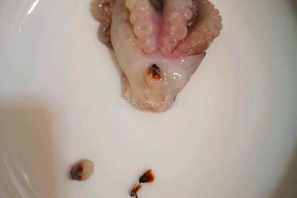 韭苔爆炒八爪鱼的做法图解4