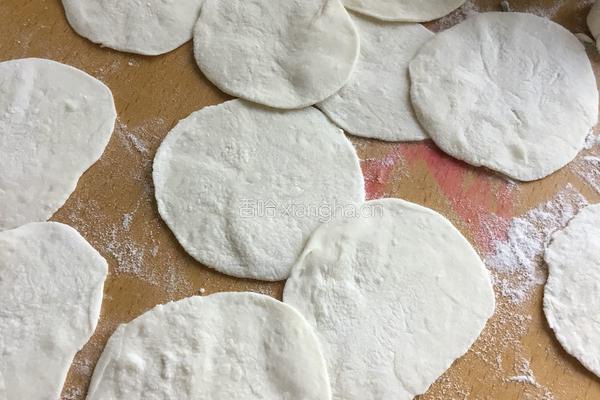 黄瓜馅水饺的做法图解12