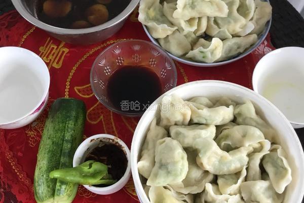 黄瓜馅水饺的做法图解16
