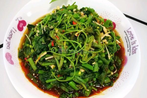 凉拌南瓜尖的做法图解9