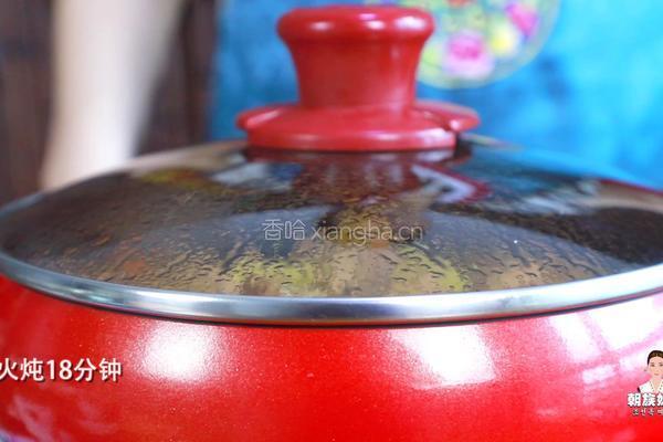 营养又简单的韩式安东炖鸡，绝对的下饭利器的做法图解24