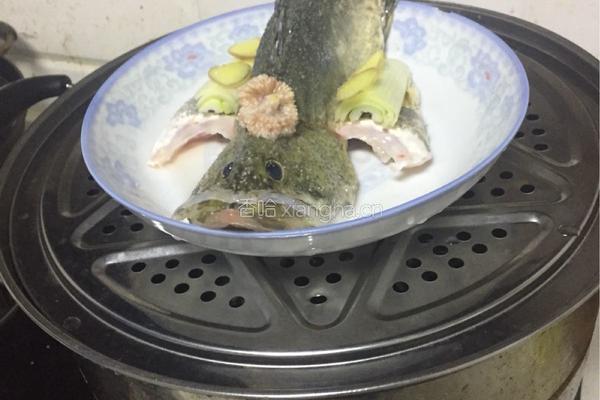家常清蒸鳜鱼的做法图解3