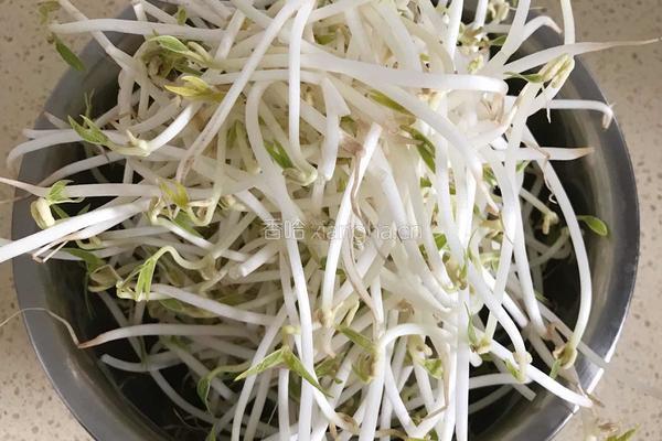 酸辣绿豆芽 的做法图解2