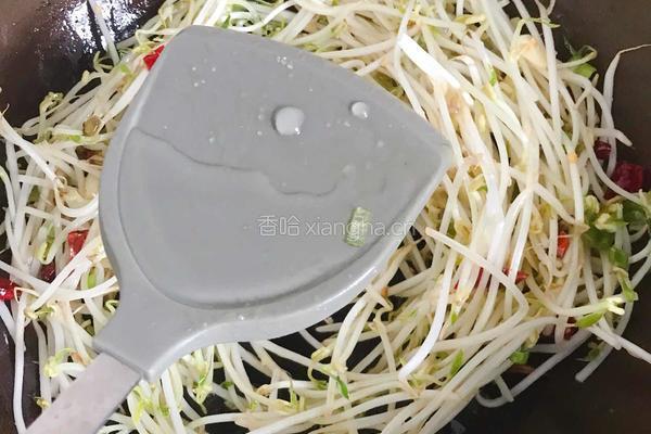 酸辣绿豆芽 的做法图解4