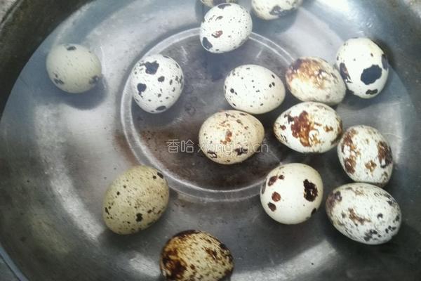鹌鹑蛋烧肉的做法图解1