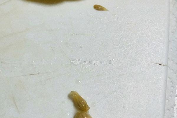 百香果柠檬茶的做法图解6