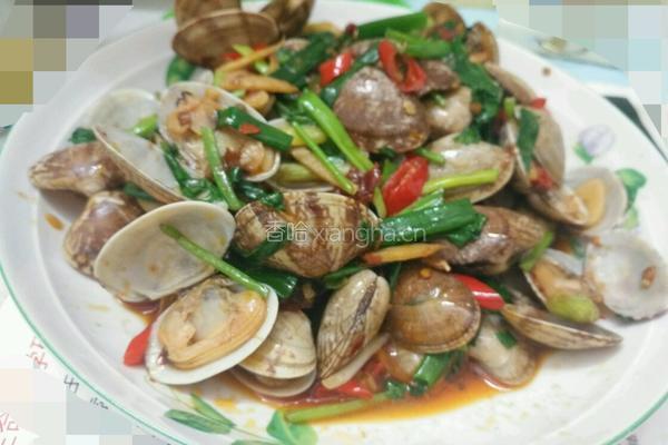 炒花甲的做法图解4