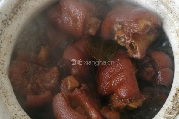 红烧猪手的做法图解11