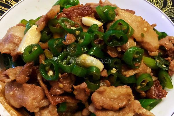 农家小炒肉的做法图解4