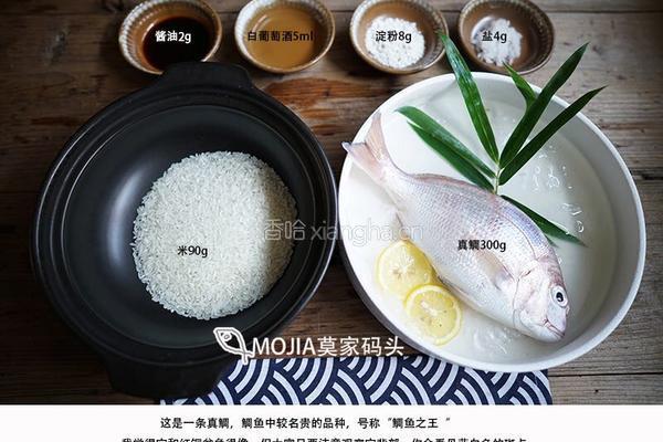 莫家码头鱼片粥的做法图解1
