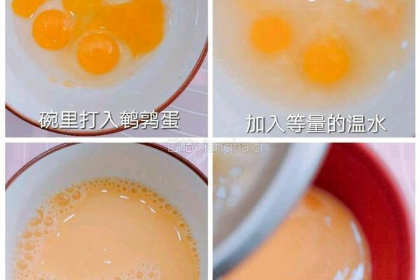 蝴蝶蛋羹的做法图解1