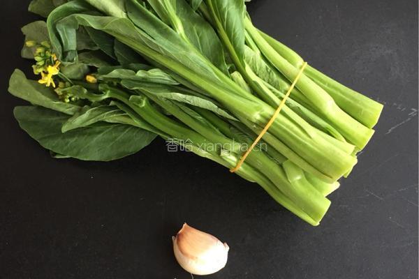 盐水菜心的做法图解1